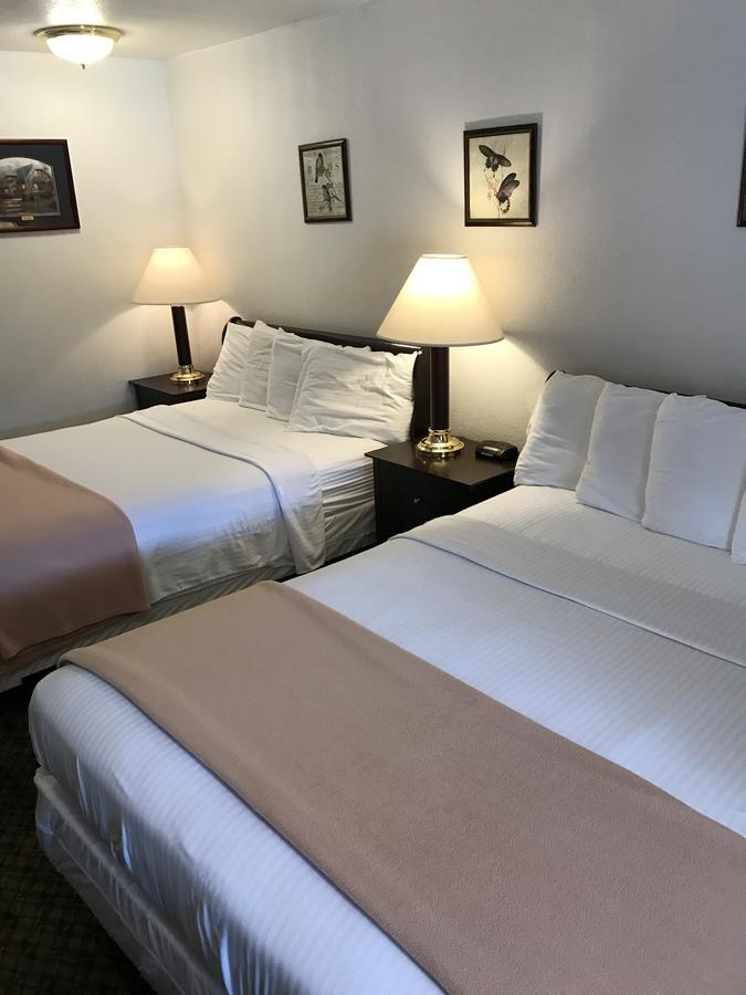 Gold Pan Lodge Quincy Экстерьер фото